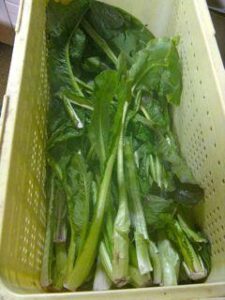 Gingery Pickled Greens that Stay Tasty All Winter Long Image